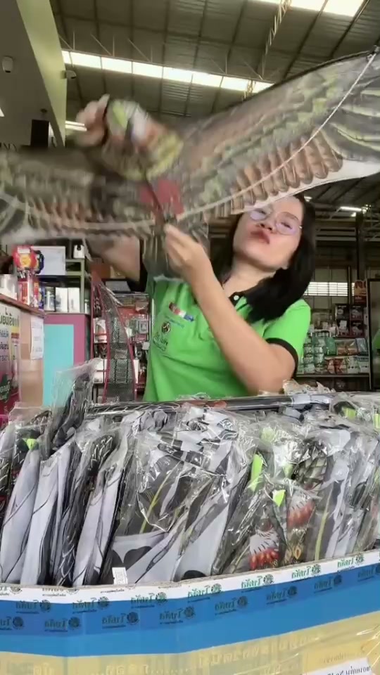 ว่าวนกอินทรีย์ ไร่นก  ตัวช่วยไล่นกในสวนและไร่นา